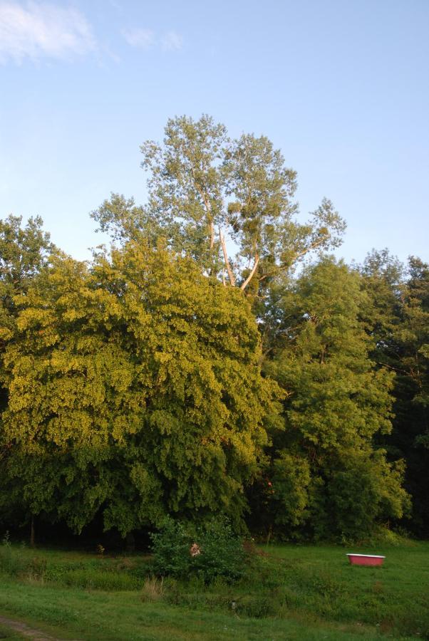 Moulin Des Arts Bed and Breakfast Beauvoir  Esterno foto
